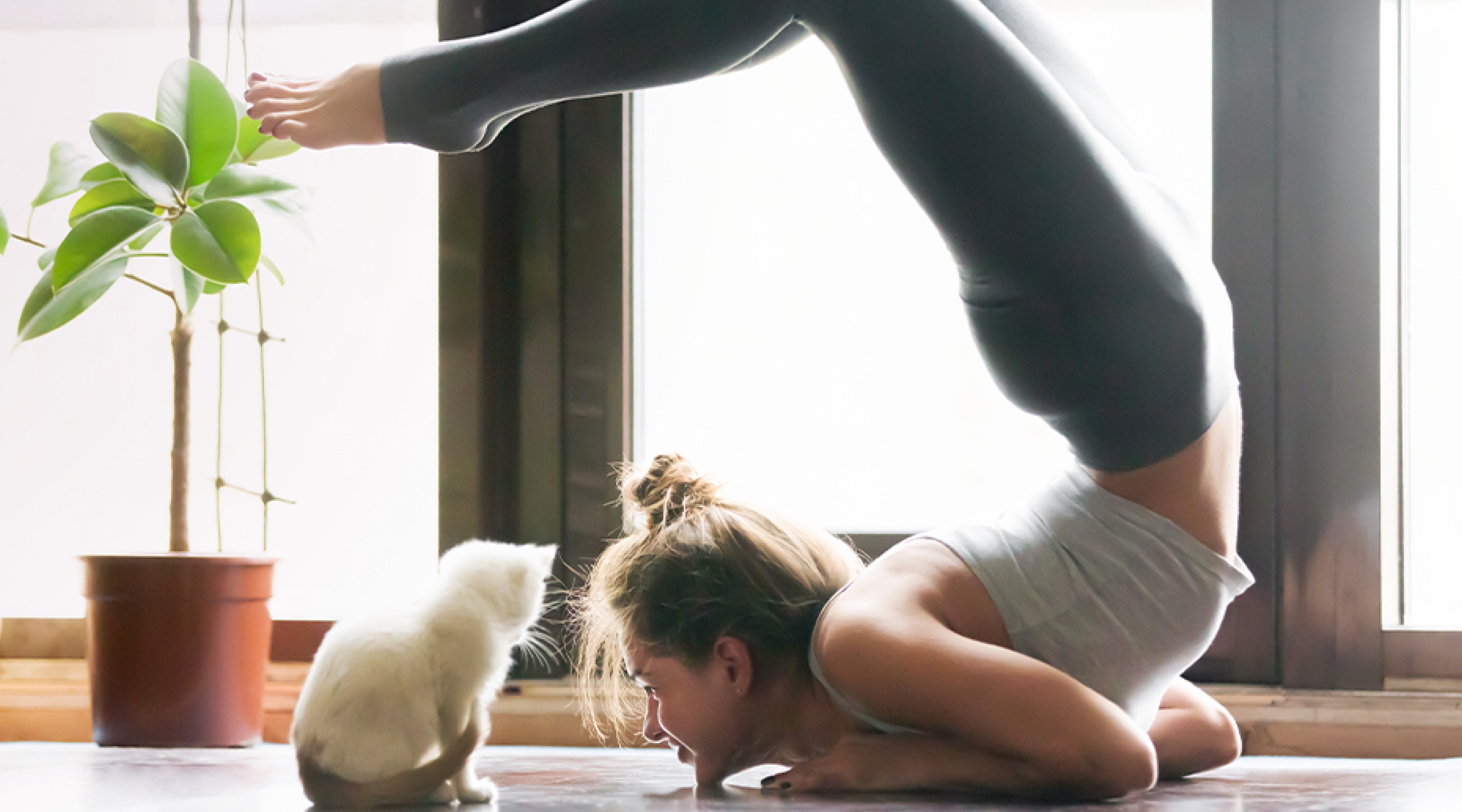 Diese 5 Mikronährstoffe sind unverzichtbar für Frauen