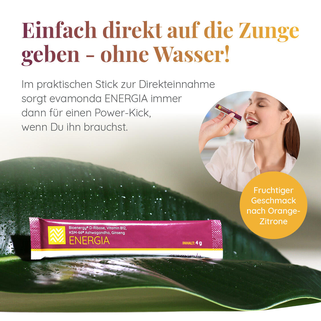 ENERGIA Produktbild 8