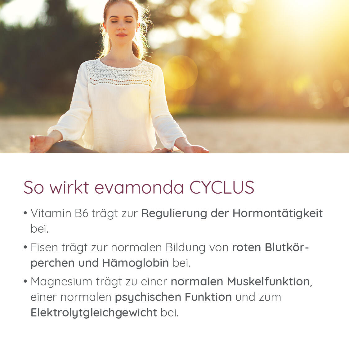 CYCLUS Produktbild 2