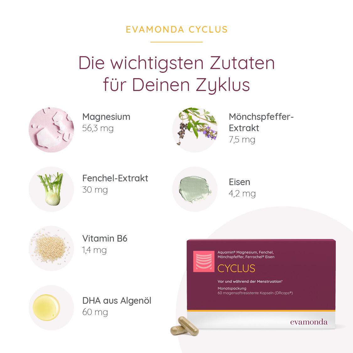 CYCLUS Produktbild 4