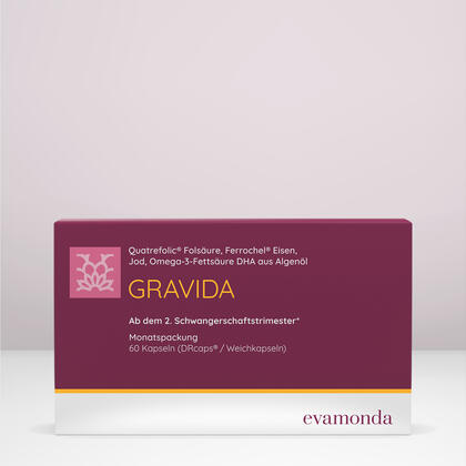 GRAVIDA Vorschaubild