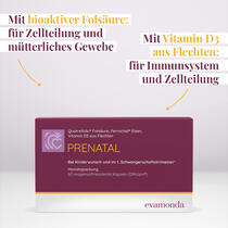 PRENATAL Vorschaubild 3