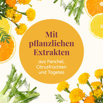 GRAVIDA Vorschaubild 2