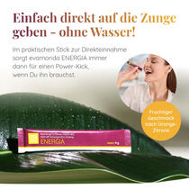 ENERGIA Vorschaubild 8