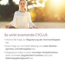 CYCLUS Vorschaubild 2