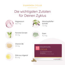 CYCLUS Vorschaubild 4