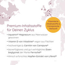 CYCLUS Vorschaubild 5