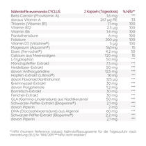 CYCLUS Vorschaubild 7