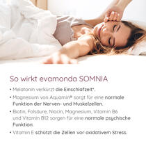 SOMNIA Vorschaubild 2