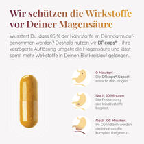 SOMNIA Vorschaubild 8