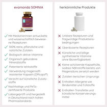 SOMNIA Vorschaubild 10